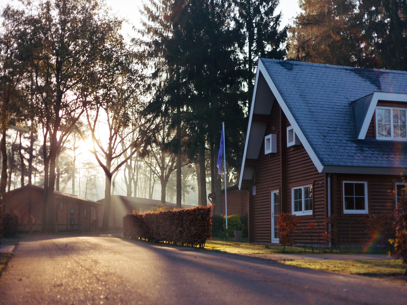 Wooded residential street in early morning light with a shingled New England house